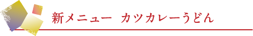 新メニュー カツカレーうどん